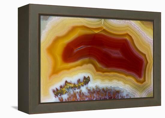 Mexican Banded Agate Quartzsite, Arizona-Darrell Gulin-Framed Premier Image Canvas