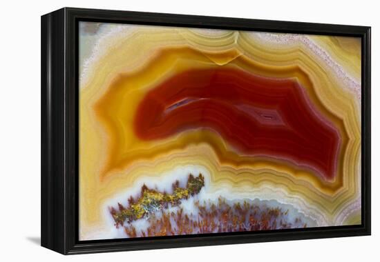 Mexican Banded Agate Quartzsite, Arizona-Darrell Gulin-Framed Premier Image Canvas