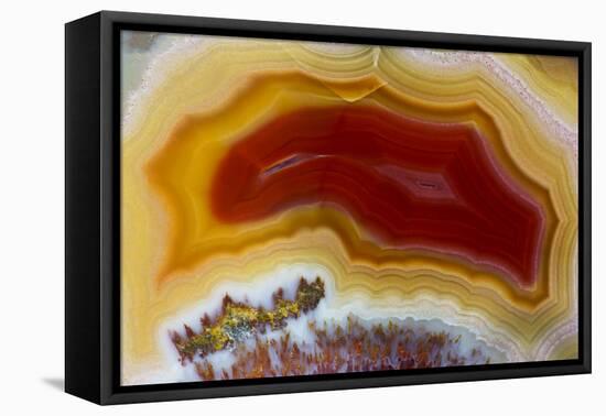 Mexican Banded Agate Quartzsite, Arizona-Darrell Gulin-Framed Premier Image Canvas