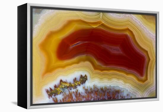 Mexican Banded Agate Quartzsite, Arizona-Darrell Gulin-Framed Premier Image Canvas