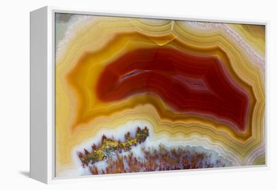 Mexican Banded Agate Quartzsite, Arizona-Darrell Gulin-Framed Premier Image Canvas