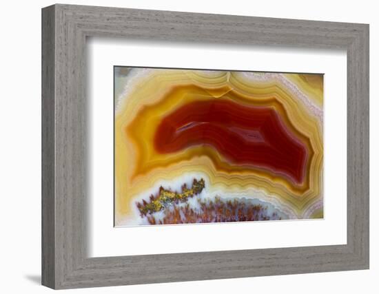 Mexican Banded Agate Quartzsite, Arizona-Darrell Gulin-Framed Photographic Print