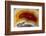 Mexican Banded Agate Quartzsite, Arizona-Darrell Gulin-Framed Photographic Print