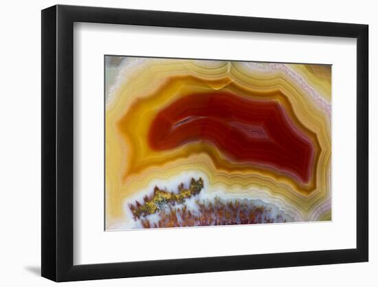 Mexican Banded Agate Quartzsite, Arizona-Darrell Gulin-Framed Photographic Print