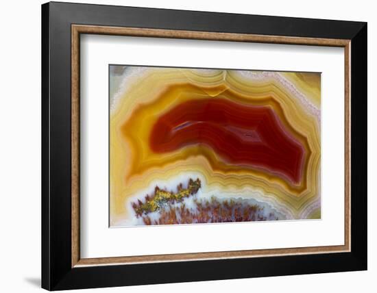 Mexican Banded Agate Quartzsite, Arizona-Darrell Gulin-Framed Photographic Print