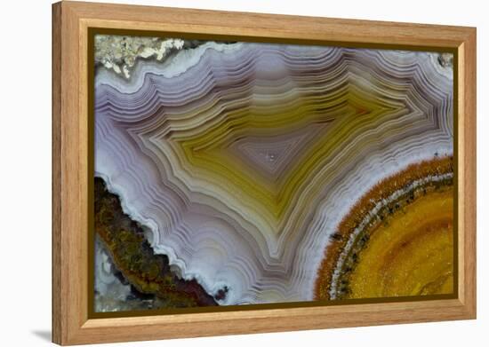 Mexican Banded Agate Quartzsite, Arizona-Darrell Gulin-Framed Premier Image Canvas