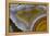 Mexican Banded Agate Quartzsite, Arizona-Darrell Gulin-Framed Premier Image Canvas