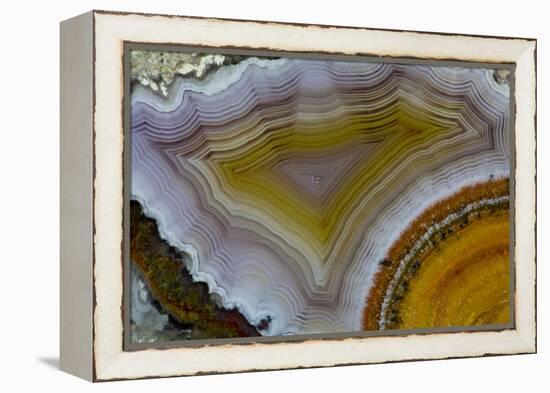 Mexican Banded Agate Quartzsite, Arizona-Darrell Gulin-Framed Premier Image Canvas