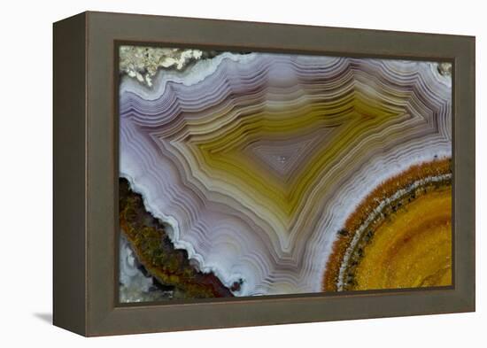 Mexican Banded Agate Quartzsite, Arizona-Darrell Gulin-Framed Premier Image Canvas