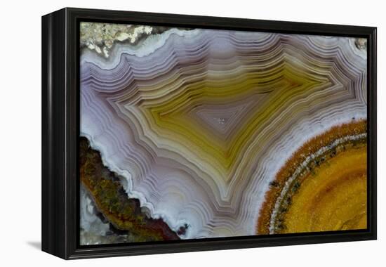 Mexican Banded Agate Quartzsite, Arizona-Darrell Gulin-Framed Premier Image Canvas