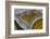 Mexican Banded Agate Quartzsite, Arizona-Darrell Gulin-Framed Photographic Print