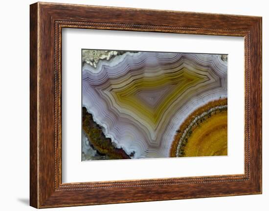 Mexican Banded Agate Quartzsite, Arizona-Darrell Gulin-Framed Photographic Print