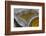 Mexican Banded Agate Quartzsite, Arizona-Darrell Gulin-Framed Photographic Print