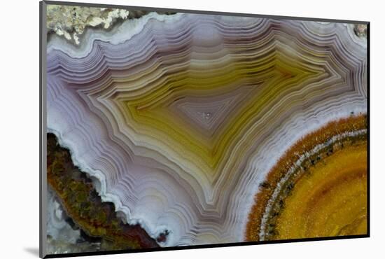 Mexican Banded Agate Quartzsite, Arizona-Darrell Gulin-Mounted Photographic Print