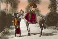 Premium Giclee Print