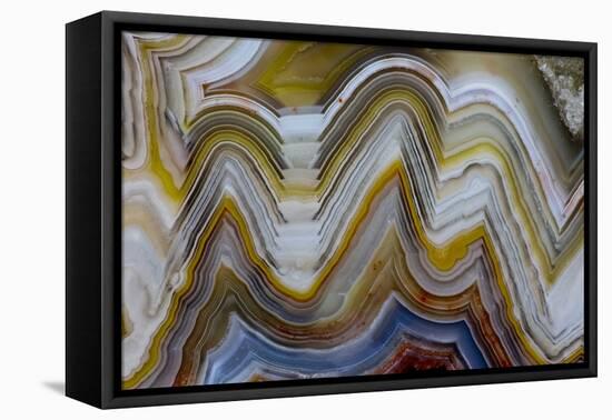 Mexican Crazy Lace Agate, Sammamish, Washington State-Darrell Gulin-Framed Premier Image Canvas