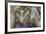 Mexican Crazy Lace Agate, Sammamish, Washington State-Darrell Gulin-Framed Premium Photographic Print