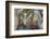 Mexican Crazy Lace Agate, Sammamish, Washington State-Darrell Gulin-Framed Photographic Print