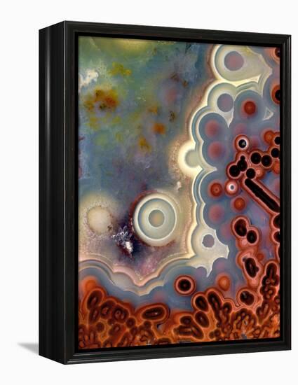 Mexican Crazy Lace Agate-Steve Terrill-Framed Premier Image Canvas