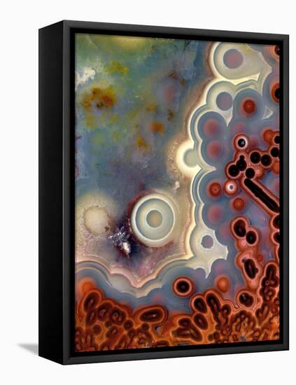 Mexican Crazy Lace Agate-Steve Terrill-Framed Premier Image Canvas