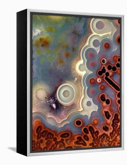 Mexican Crazy Lace Agate-Steve Terrill-Framed Premier Image Canvas