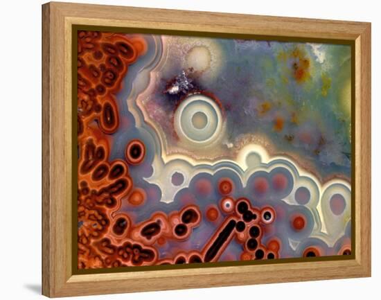 Mexican Crazy Lace Agate-Steve Terrill-Framed Premier Image Canvas