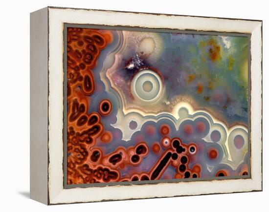 Mexican Crazy Lace Agate-Steve Terrill-Framed Premier Image Canvas