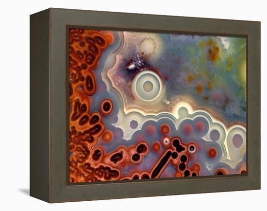 Mexican Crazy Lace Agate-Steve Terrill-Framed Premier Image Canvas