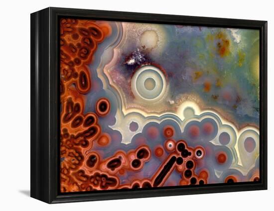 Mexican Crazy Lace Agate-Steve Terrill-Framed Premier Image Canvas