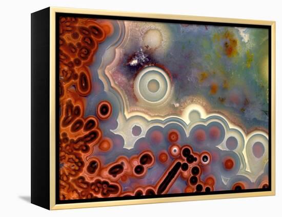 Mexican Crazy Lace Agate-Steve Terrill-Framed Premier Image Canvas