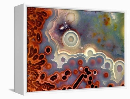 Mexican Crazy Lace Agate-Steve Terrill-Framed Premier Image Canvas