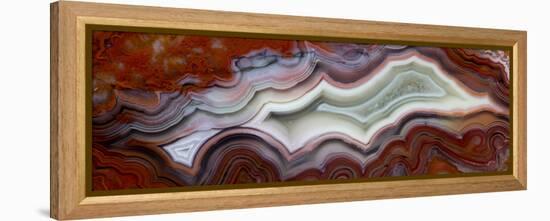 Mexican Crazy Lace Agate-Darrell Gulin-Framed Premier Image Canvas