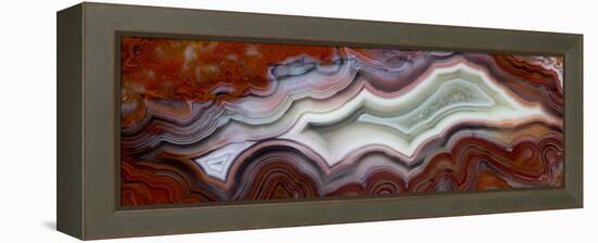 Mexican Crazy Lace Agate-Darrell Gulin-Framed Premier Image Canvas