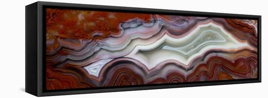 Mexican Crazy Lace Agate-Darrell Gulin-Framed Premier Image Canvas