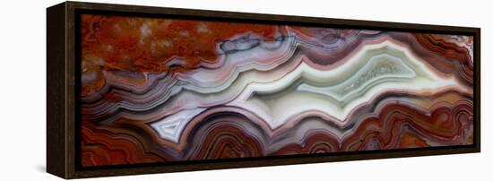 Mexican Crazy Lace Agate-Darrell Gulin-Framed Premier Image Canvas