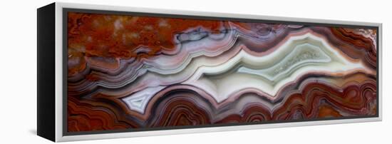Mexican Crazy Lace Agate-Darrell Gulin-Framed Premier Image Canvas