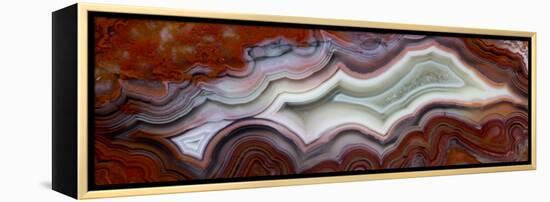 Mexican Crazy Lace Agate-Darrell Gulin-Framed Premier Image Canvas