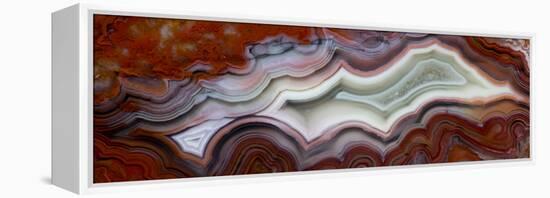 Mexican Crazy Lace Agate-Darrell Gulin-Framed Premier Image Canvas