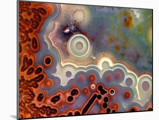 Mexican Crazy Lace Agate-Steve Terrill-Mounted Photographic Print