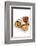 Mexican Cusine-Fabio Petroni-Framed Photographic Print