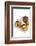 Mexican Cusine-Fabio Petroni-Framed Photographic Print