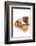 Mexican Cusine-Fabio Petroni-Framed Photographic Print