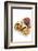 Mexican Cusine-Fabio Petroni-Framed Photographic Print