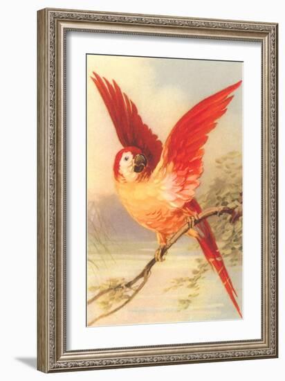 Mexican Double Yellow-Headed Parrot-null-Framed Art Print