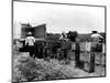 Mexican Farm Laborers-null-Mounted Photographic Print
