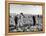 Mexican Farm Workers Harvesting Beets-J^ R^ Eyerman-Framed Premier Image Canvas