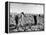 Mexican Farm Workers Harvesting Beets-J^ R^ Eyerman-Framed Premier Image Canvas