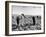 Mexican Farm Workers Harvesting Beets-J^ R^ Eyerman-Framed Photographic Print