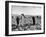 Mexican Farm Workers Harvesting Beets-J^ R^ Eyerman-Framed Photographic Print