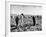 Mexican Farm Workers Harvesting Beets-J^ R^ Eyerman-Framed Photographic Print